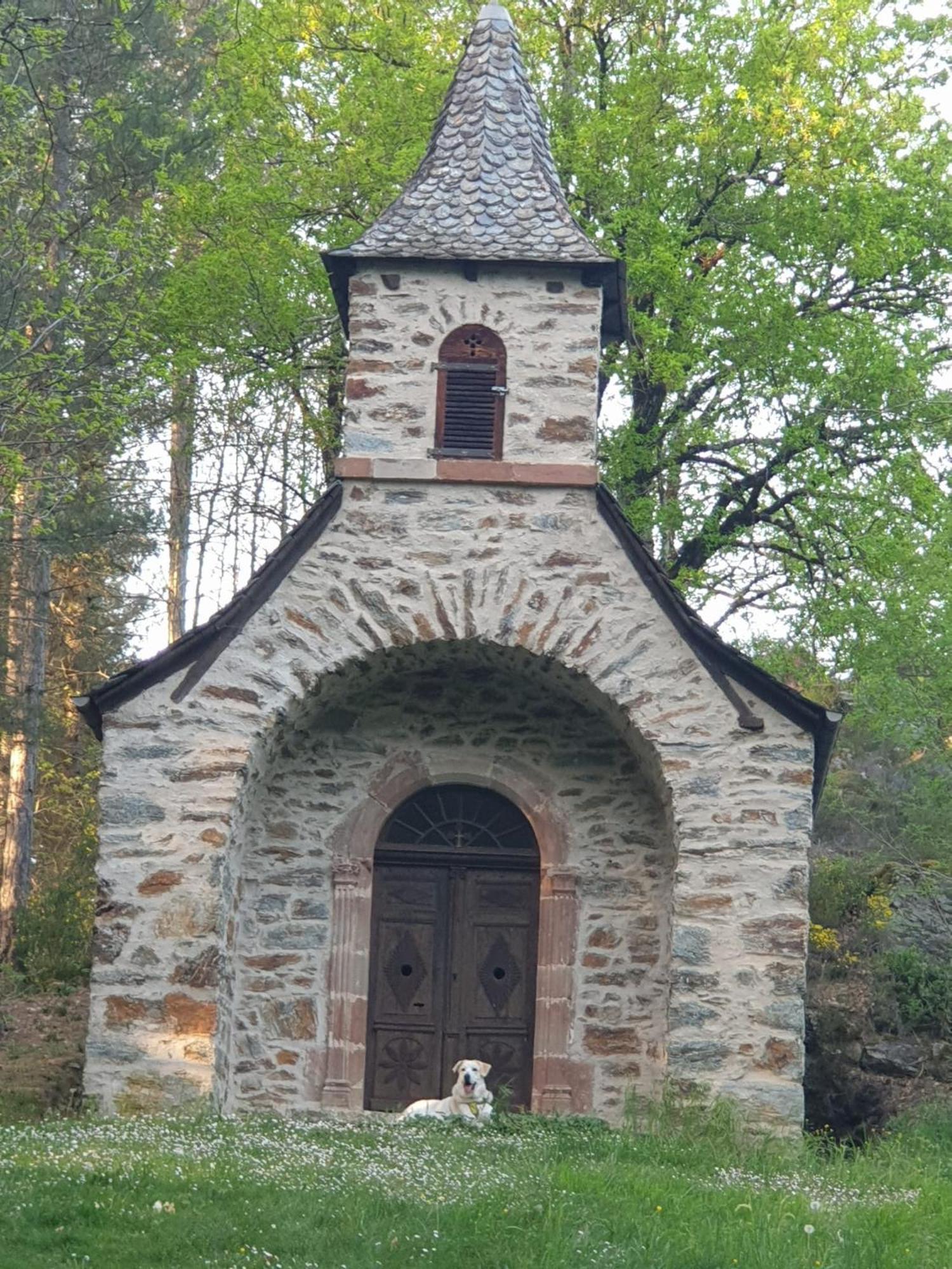 Hotel Aux Gorges Du Dourdou Conques-en-Rouergue Esterno foto